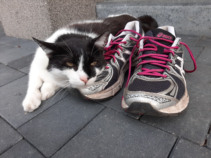 Moda – ale o co chodzi?