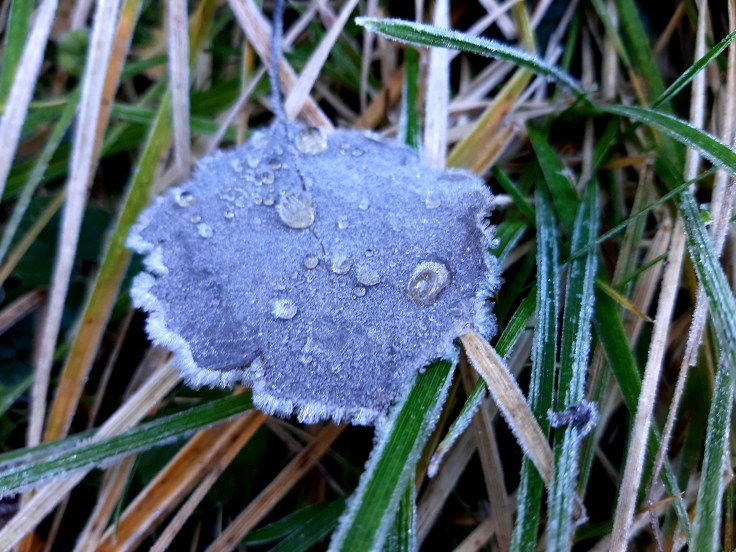 Pytania bez odpowiedzi