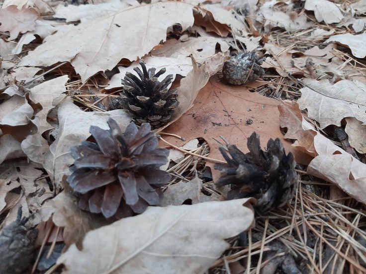 Złość – jak sobie z nią radzić?