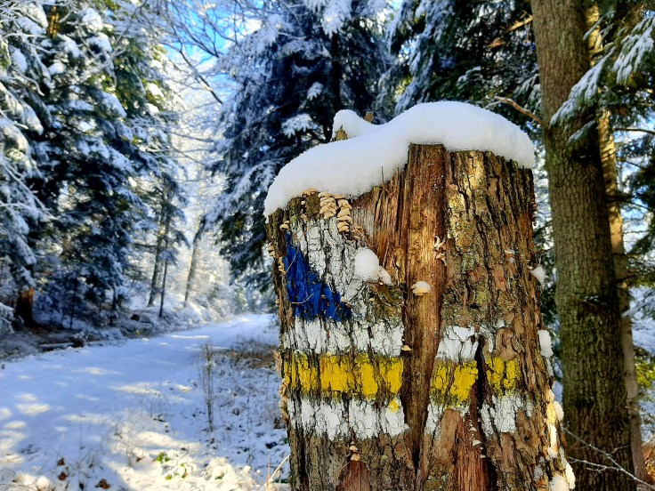 Neurotypowy świat to&nbsp;nuda!