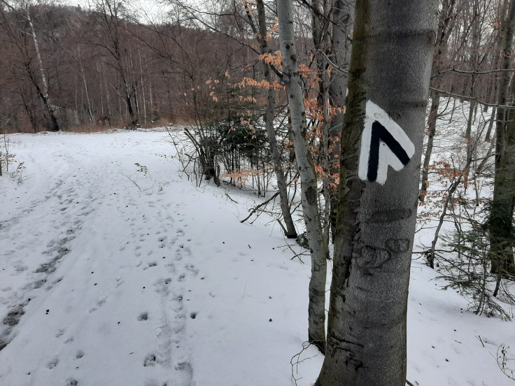 Błędy postrzegania