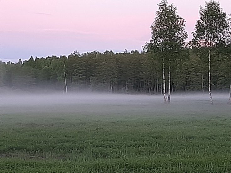 Terapia – plusy i minusy