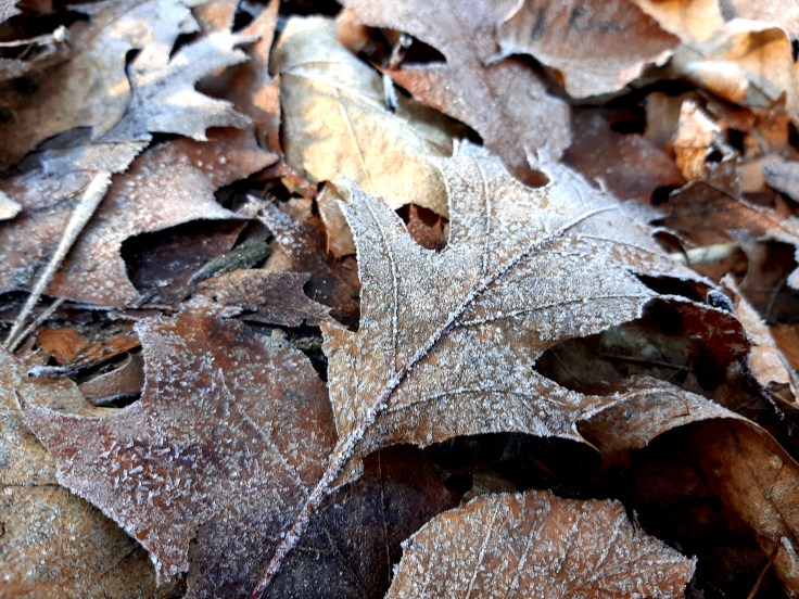 Zderzenie z neurotypowym