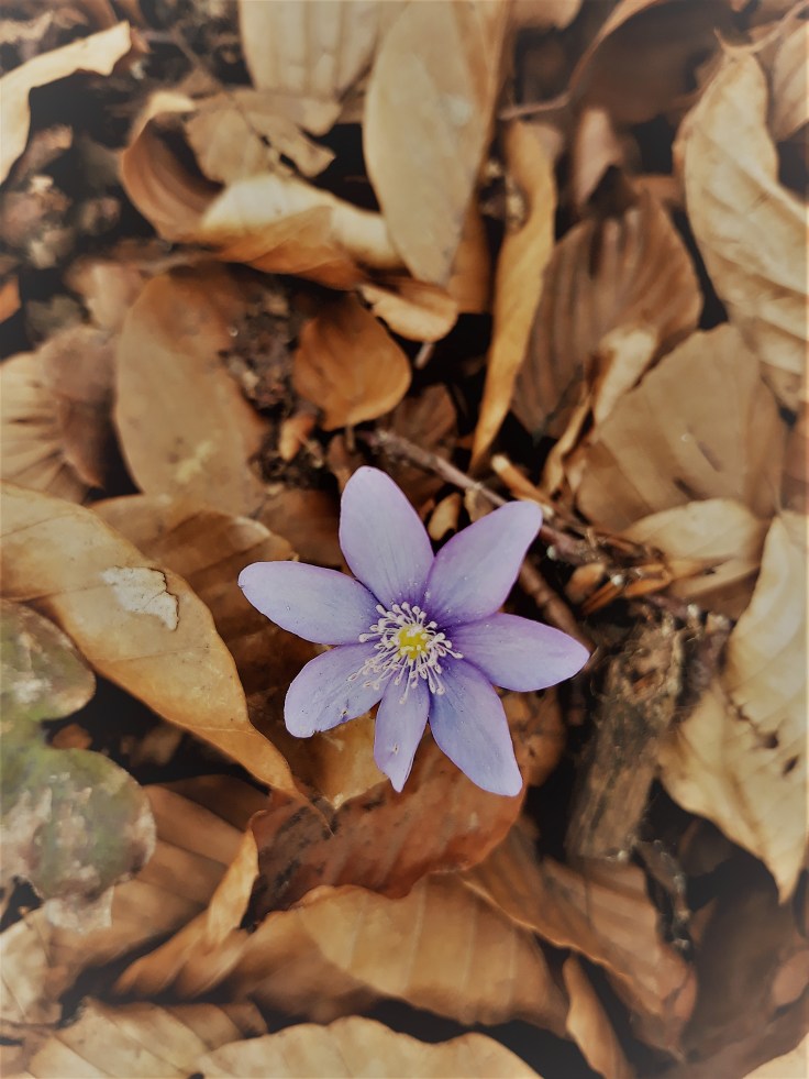 Jak nie oszaleć w rzeczywistości