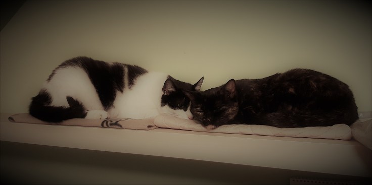 Smutek po diagnozie&nbsp;ASD