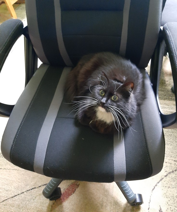 Dlaczego praca na etacie nie jest dla osób z&nbsp;ASD