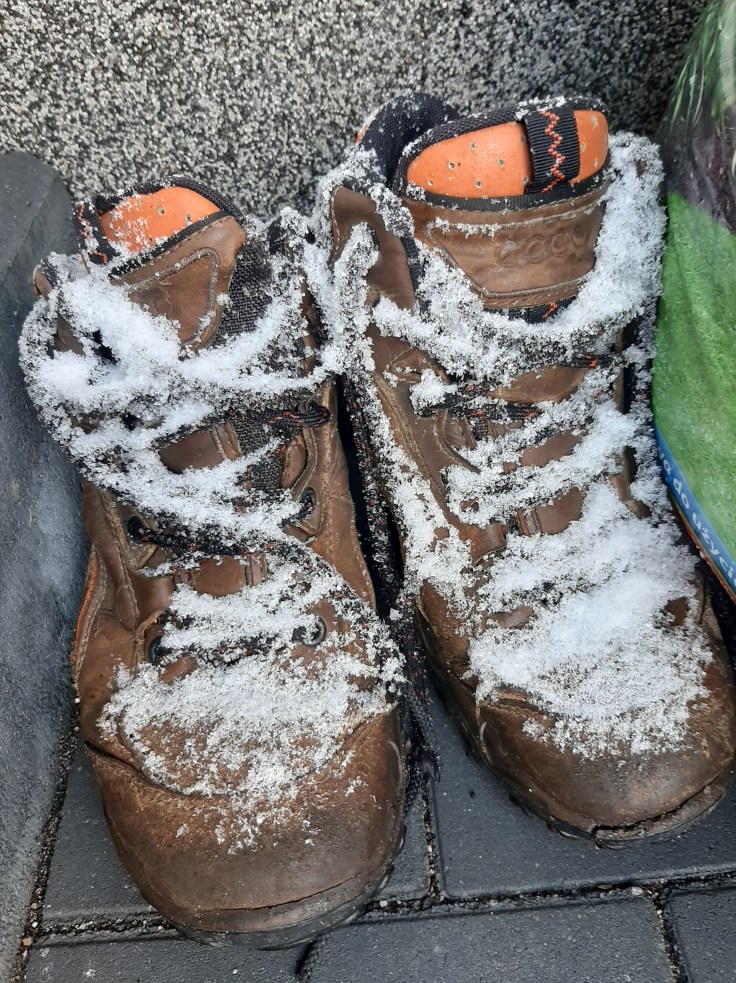 Zalety aspergerowej mody