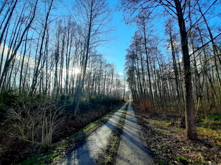 Wychodzenie z meltdownu