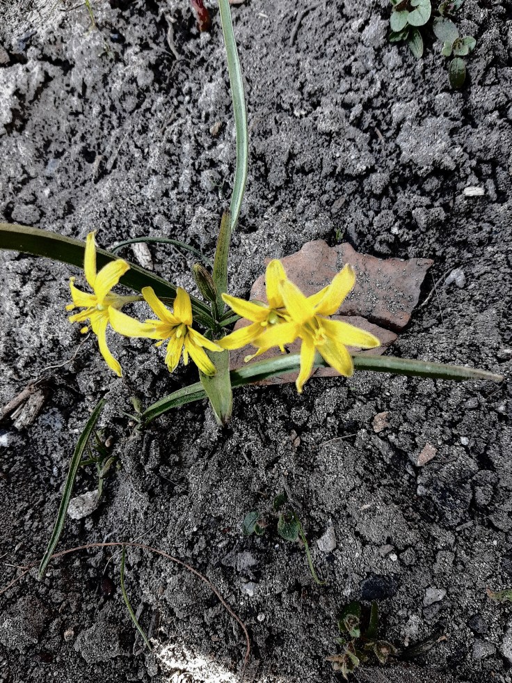 2.04 – Światowy Dzień Wiedzy o&nbsp;Autyzmie