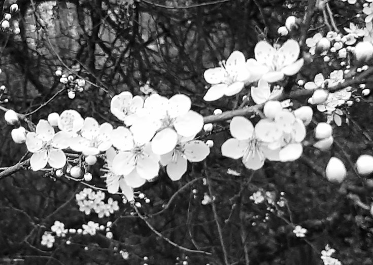 Diagnoza Aspergera – czy jest&nbsp;potrzebna?