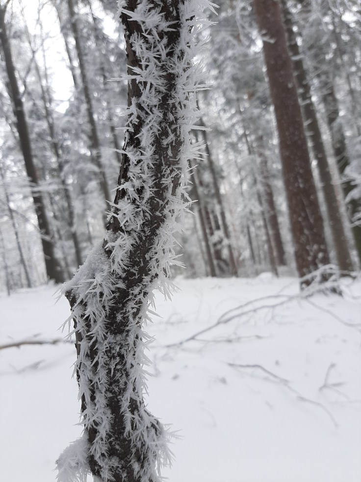 Instrukcja obsługi złości