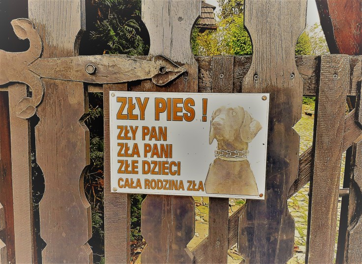 Porównywanie się z&nbsp;innymi