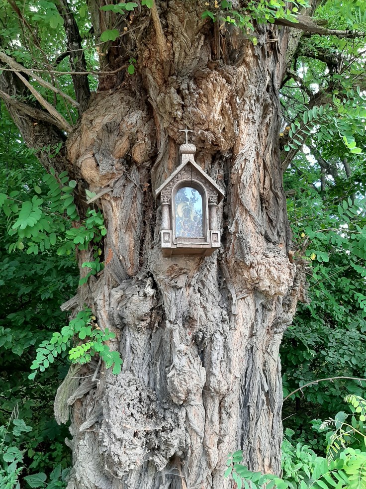 Podróżowanie z Aspergerem