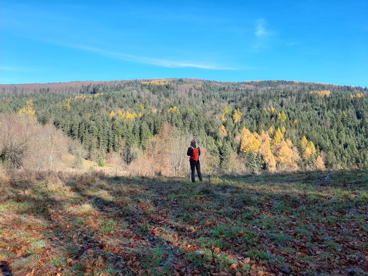 Lista cech kobiecego Aspergera