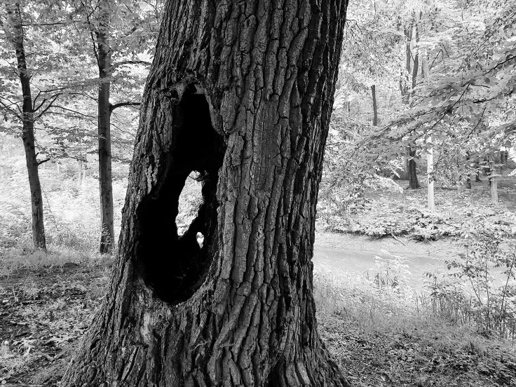 ASD i droga do depresji