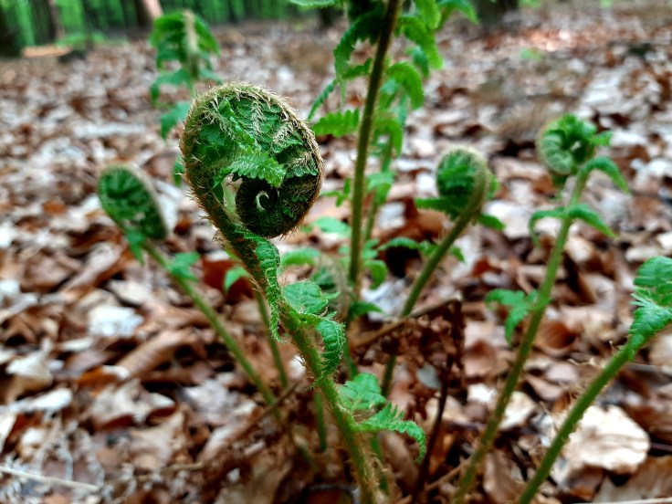 10 miesięcy po&nbsp;diagnozie