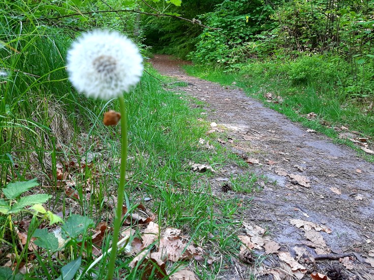 Na granicy światów