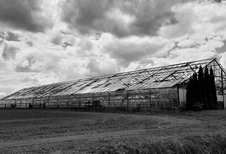 Aspergerowy kameleon, czyli o&nbsp;odmienności