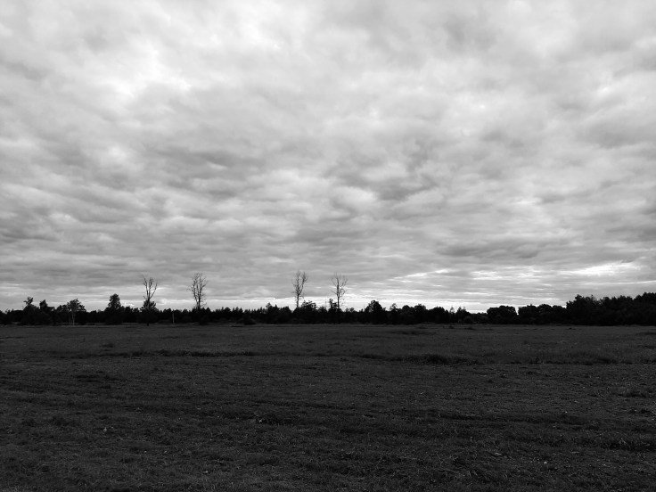 Asperger i relacje. I smutek