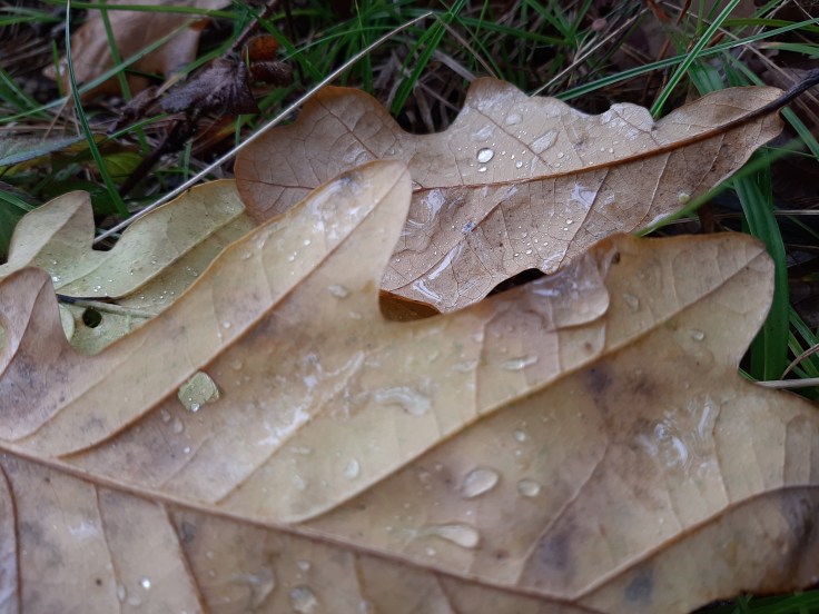 Złamanie, meltdown – i co&nbsp;potem?