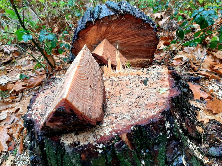 Zespół Aspergera i&nbsp;pamięć