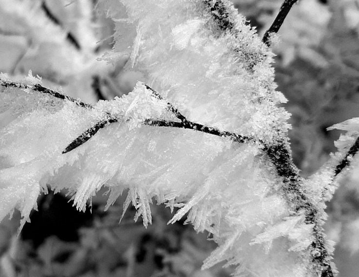 Bez emocji [po&nbsp;diagnozie]