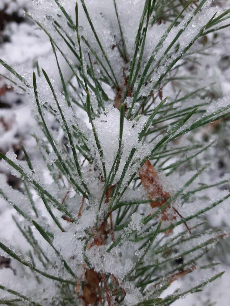 Asperger i święta – jak to&nbsp;przetrwać?