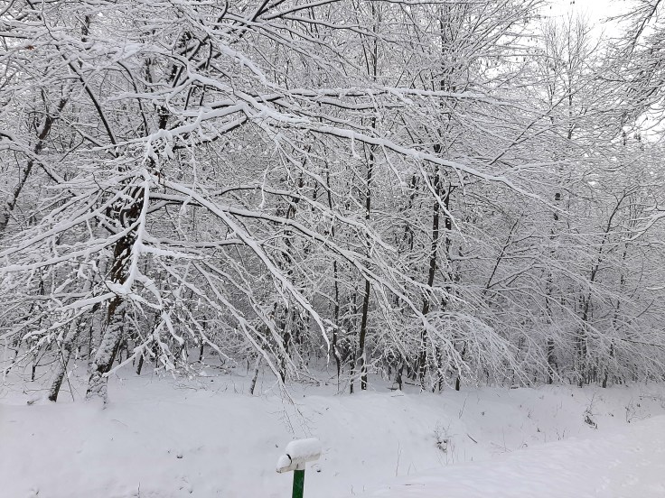Albo złość, albo&nbsp;obojętność