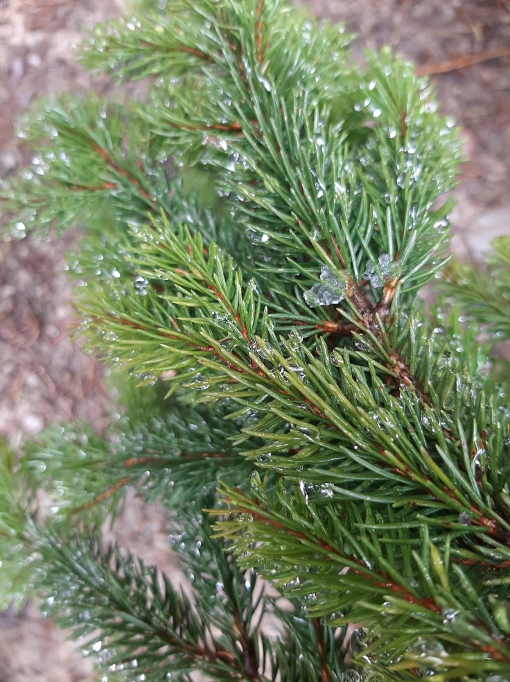 Poświąteczne refleksje