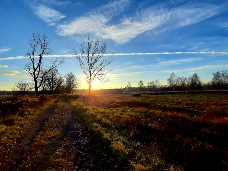 Akceptacja diagnozy spektrum autyzmu [po&nbsp;diagnozie]