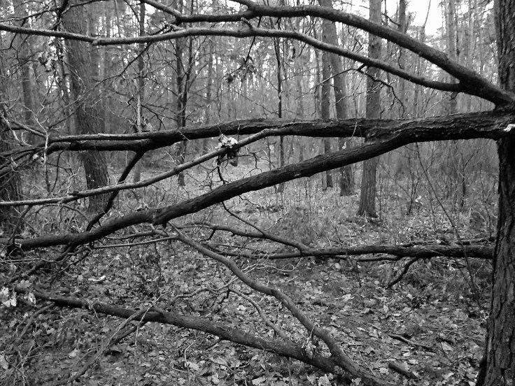 Dwa rodzaje meltdownu – wewnętrzny i&nbsp;zewnętrzny