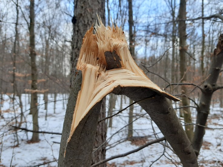 Między shutdownem a meltdownem