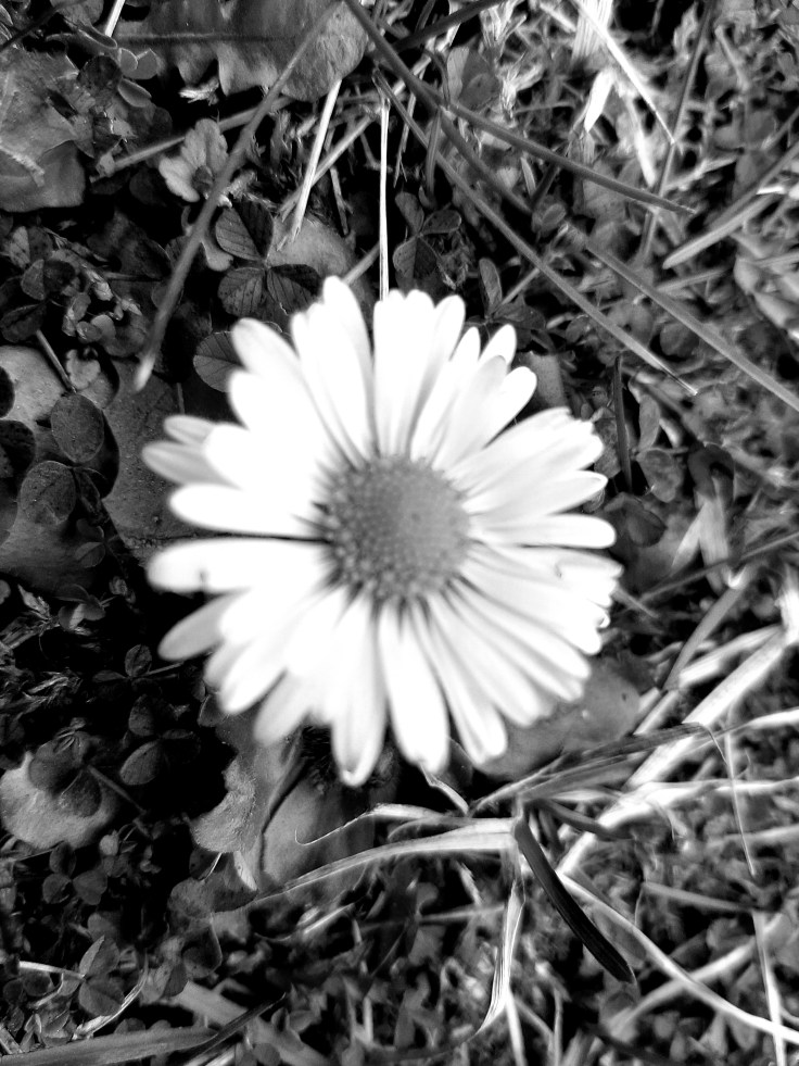 Zderzenie ze światem… autystycznym