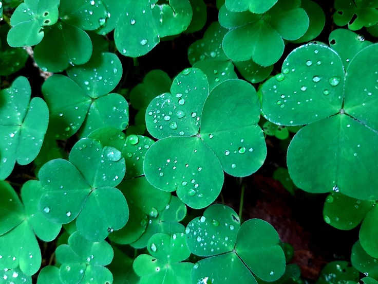 Mity na temat spektrum autyzmu