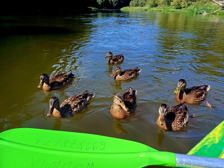 Urlopowe przemyślenia