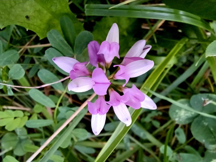 Miłość w spektrum autyzmu