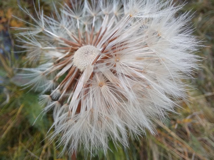 Współpraca w grupie