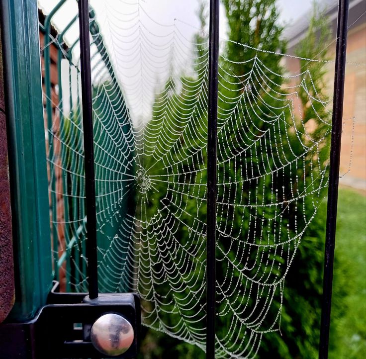 Świąteczne prezenty