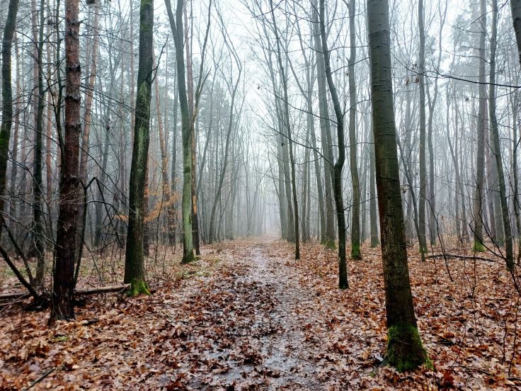 Spektakularny meltdown