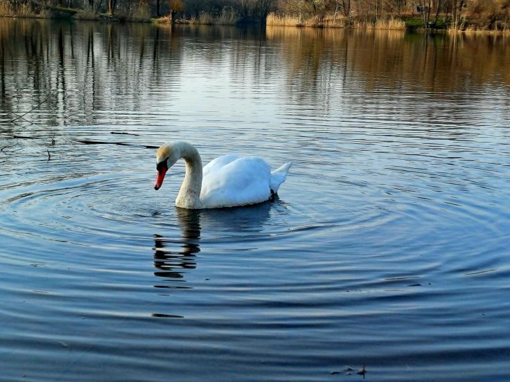 Świąteczny bagaż wiedzy