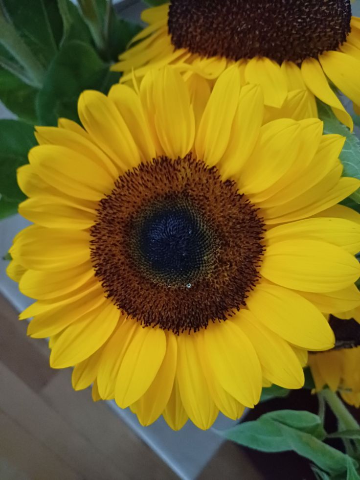 Nadwrażliwość sensoryczna = panika