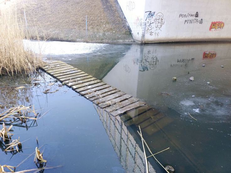 Dzień walki z&nbsp;depresją