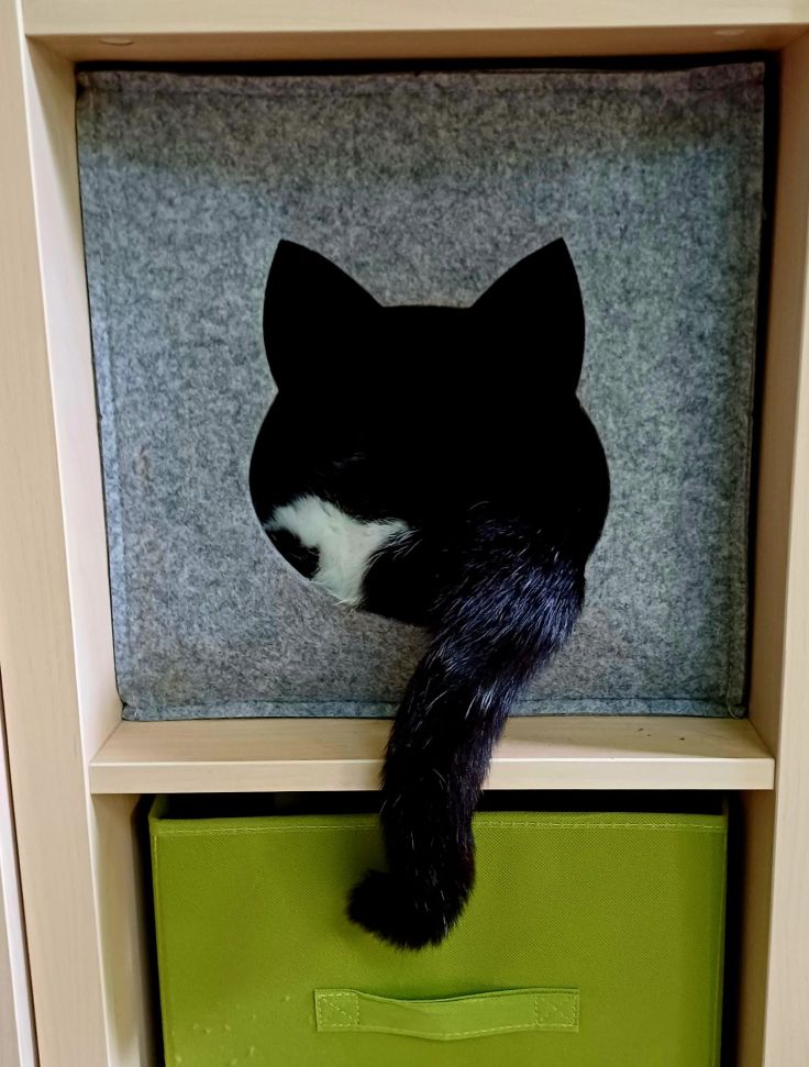 Lipiec znaczy panika