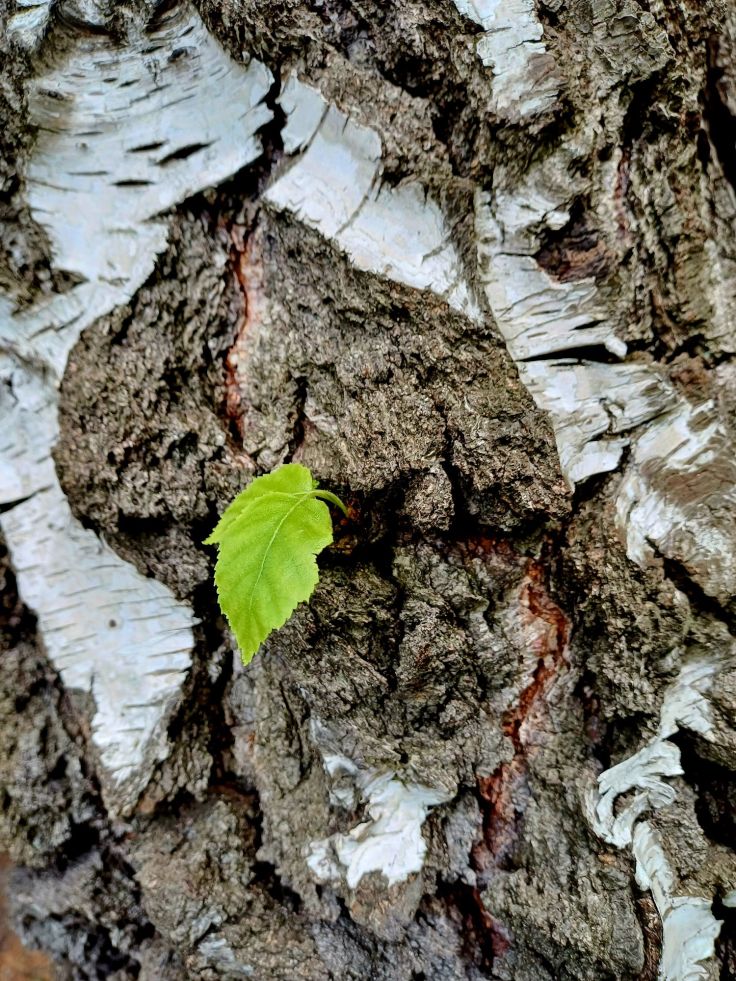 Upał czy pełzająca depresja?