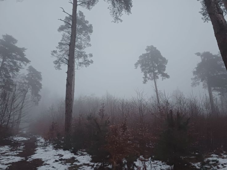 Coraz bliżej święta